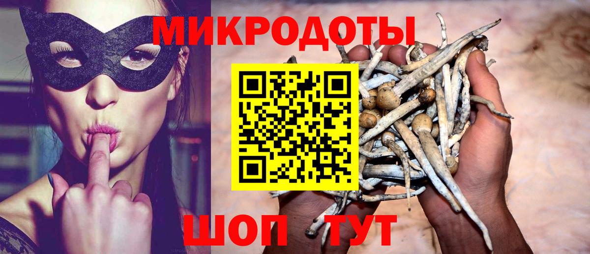 Псилоцибиновые грибы Cubensis Буйнакск